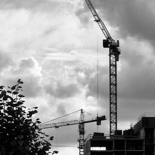 Photo #13332814