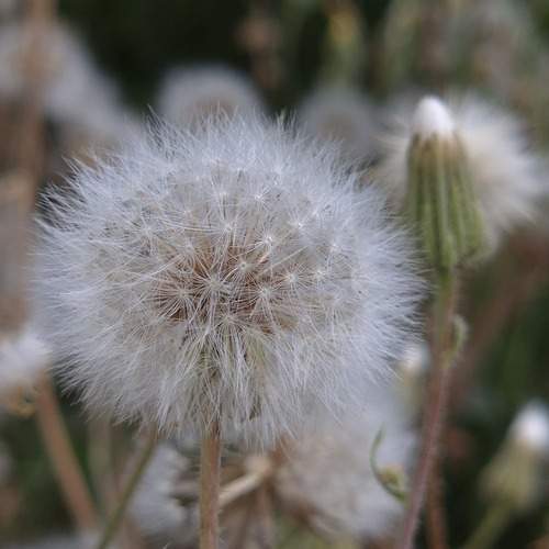 Photo #13332816