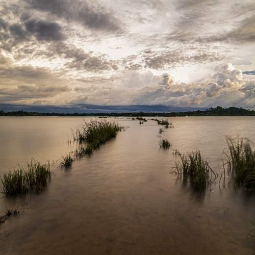 Фотография #13332833