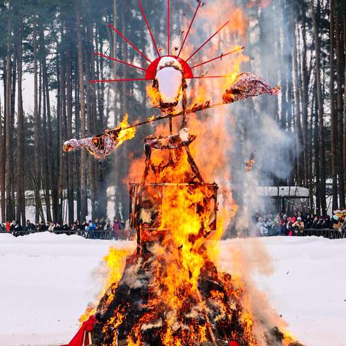 Photo #13332923