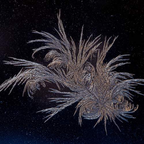 Photo #13332924