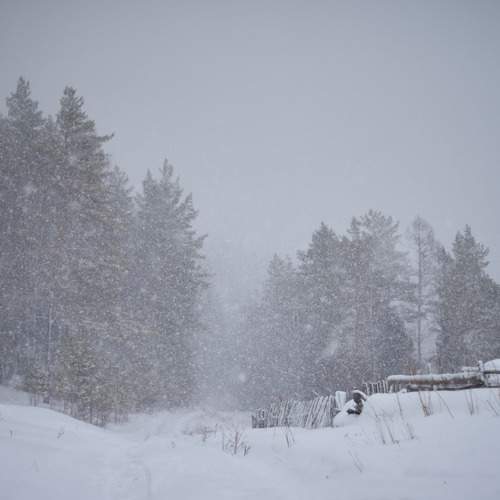 Photo #13332961