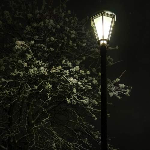 Photo #13333018