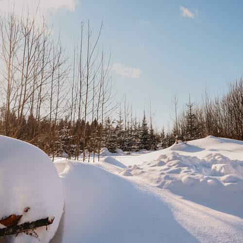 Photo #13333063
