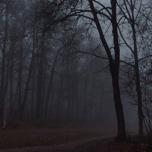 Photo #13333084