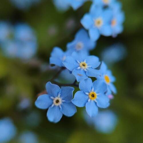 Photo #13333096