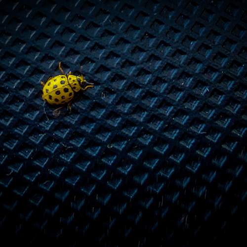 Photo #13333099