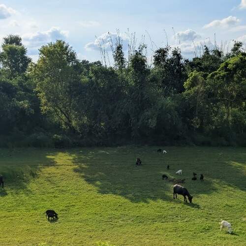 Photo #13333125