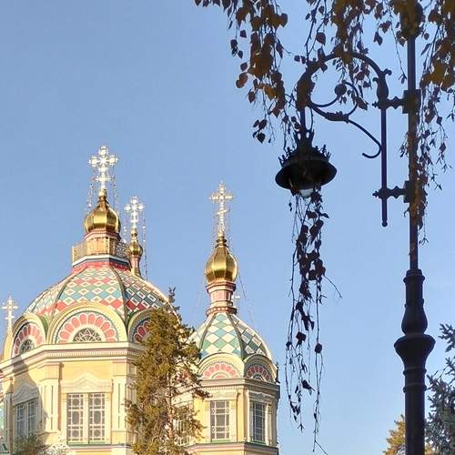 Photo #13333141
