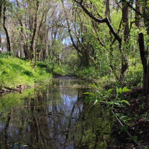 Photo #13333183