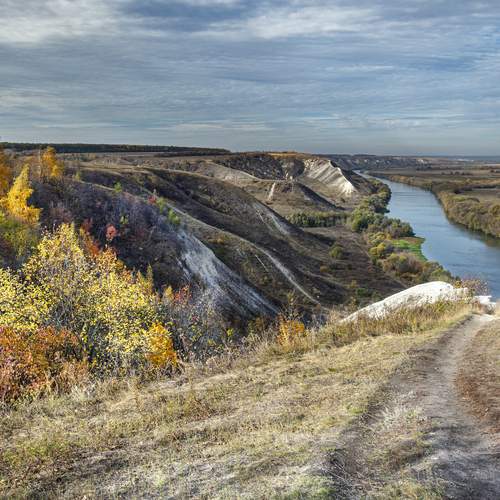 Photo #13333215