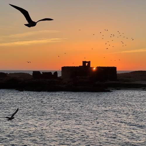 Фотография #13333264