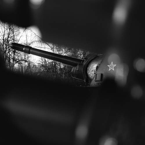 Photo #13333280