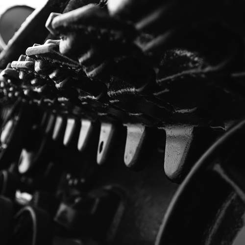 Photo #13333282