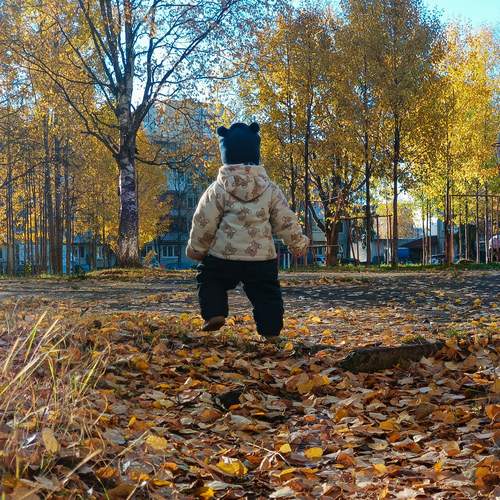 Photo #13333301