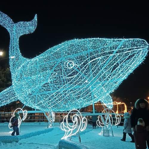 Photo #13333406