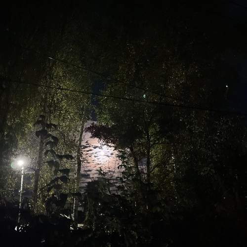 Photo #13333408