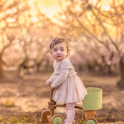 Photo #13333421
