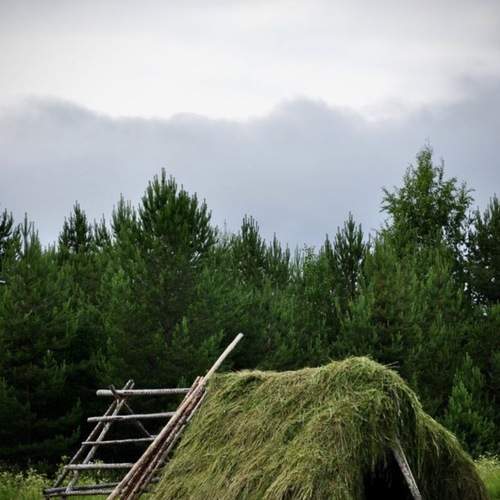 Photo #13333523