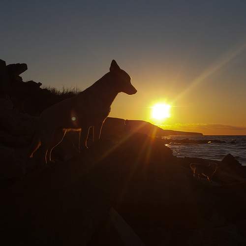 Photo #13333526