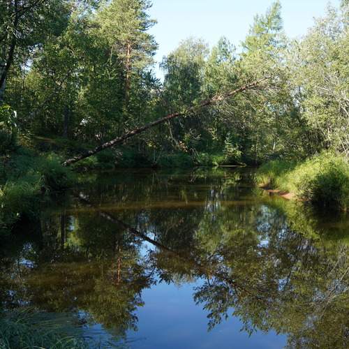 Photo #13333680