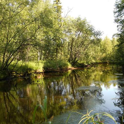 Photo #13333699