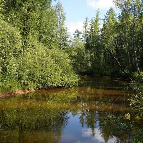 Photo #13333708