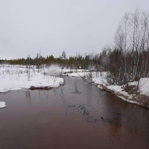 Photo #13333726