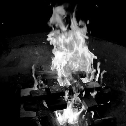 Фотография #13333753