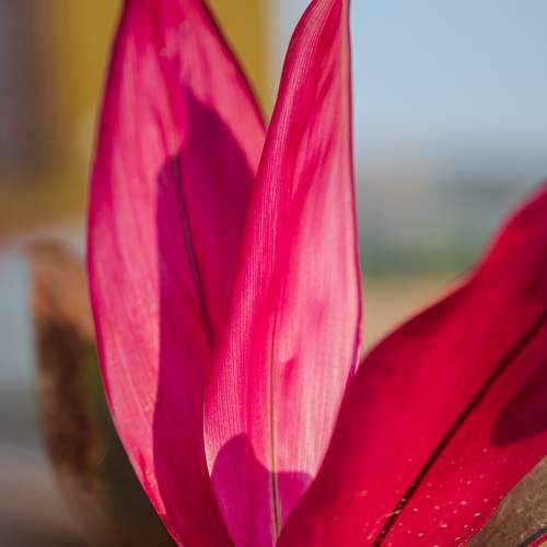 Photo #13333784