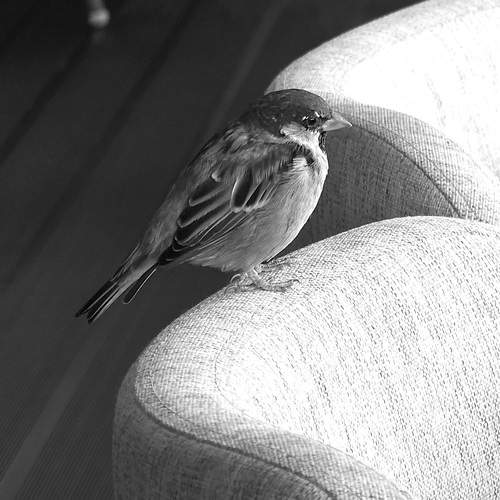 Фотография #13333799