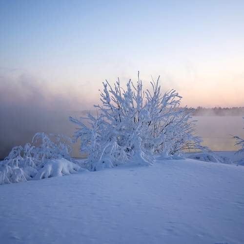 Photo #13333803