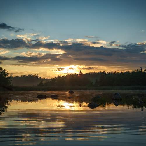 Photo #13333888
