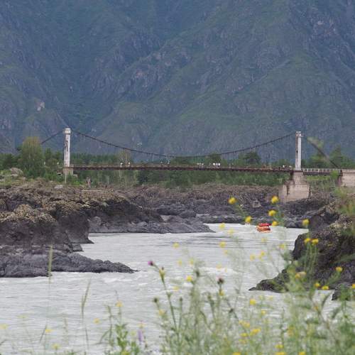 Photo #13333986