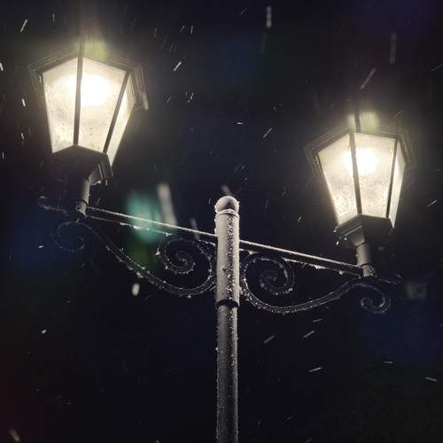 Photo #13334008