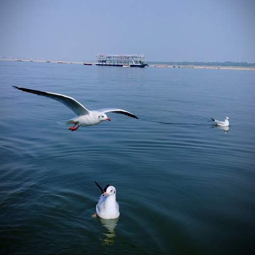 Photo #13334029