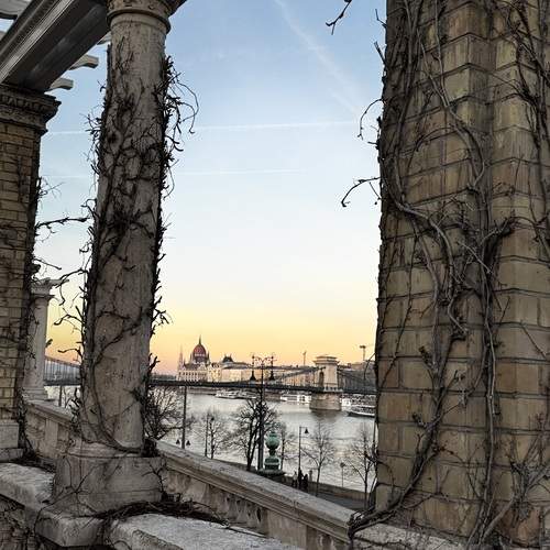 Photo #13334188