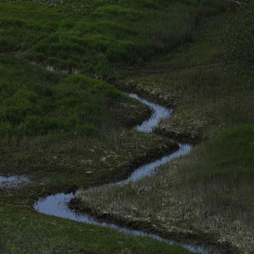 Photo #13334222