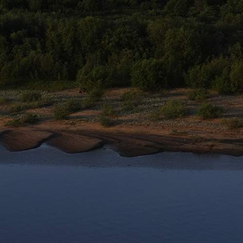Photo #13334223