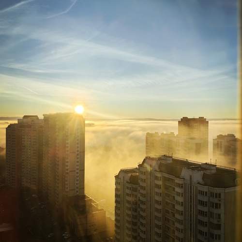 Photo #13334237