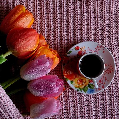 Photo #13334309
