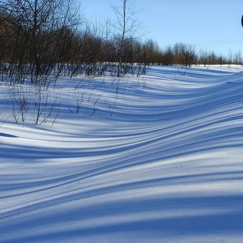 Photo #13334377
