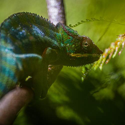 Photo #13334453