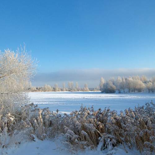 Photo #13334456