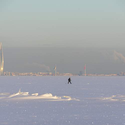 Photo #13334462