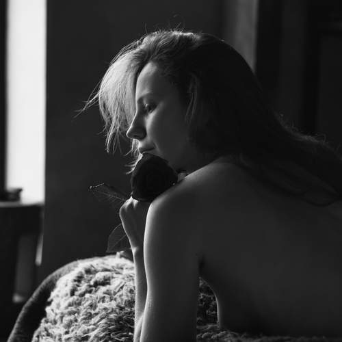 Photo #13334467