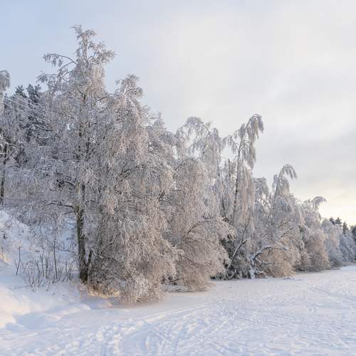 Photo #13334489