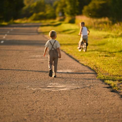 Photo #13334492