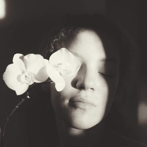 Photo #13334506