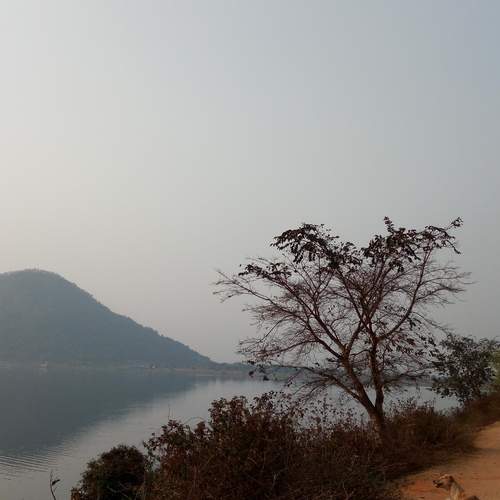 Photo #13334575